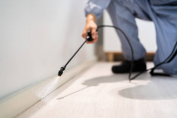 Bed Bug Pre-Treatment Preparation Assessment in Milton